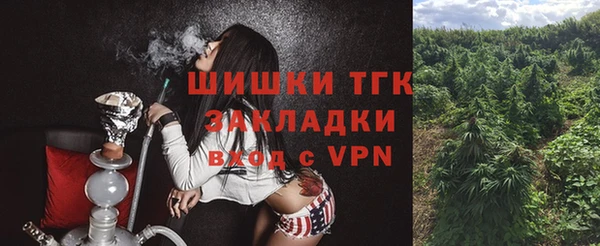 тгк Армянск