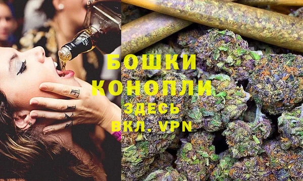 молекула духа Аркадак