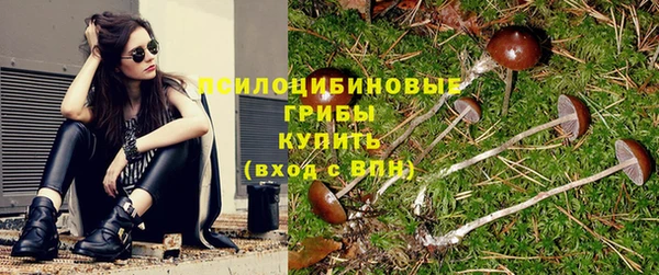 тгк Армянск