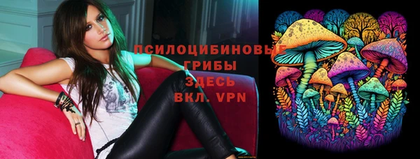 тгк Армянск