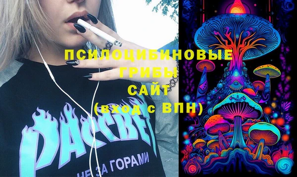 тгк Арсеньев