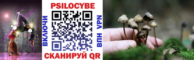 Галлюциногенные грибы Psilocybine cubensis  Купить где  Карабаново 